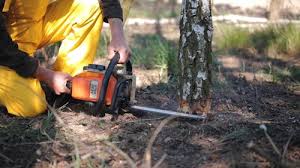 Lawn Irrigation Installation and Maintenance in Timnath, CO